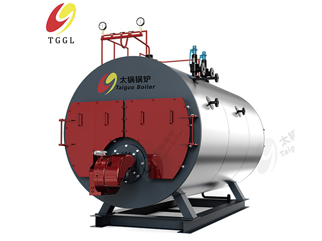 WNS Gas & Oil Fired Boiler