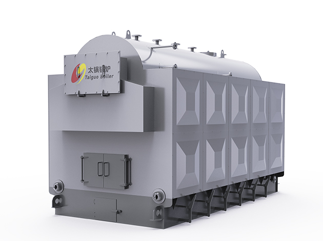 DZH Biomass Steam Boiler