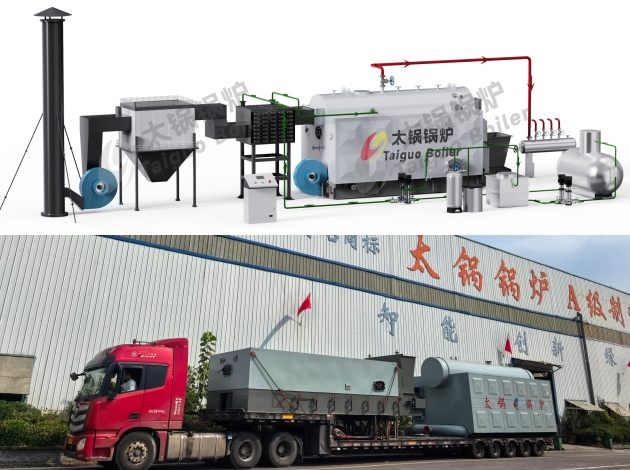 DZL Biomass Steam Boiler
