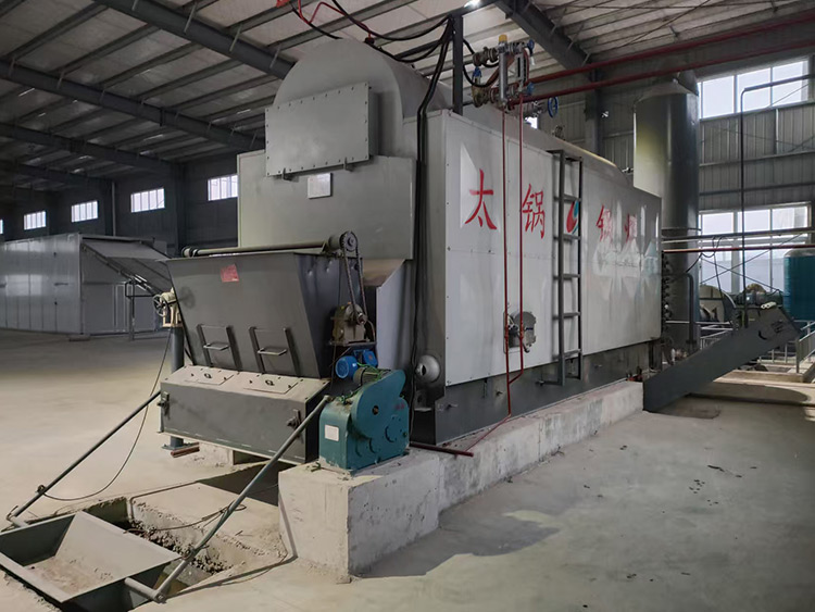 DZL Biomass Steam Boiler