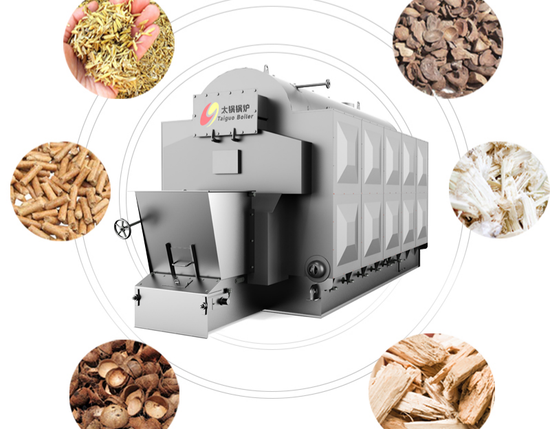 DZL Biomass Steam Boiler