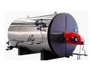 Steam generator quotation of brand new one of capacity 3 tons or 4 tons with economizer