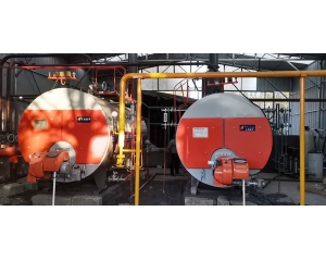 WNS steam boiler install in Vietnam
