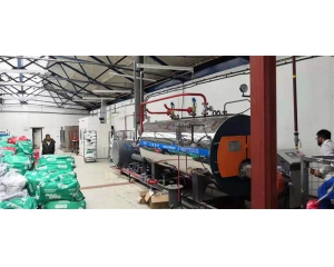 1T/H Gas Steam Boiler Used for Hotel Laundry Room