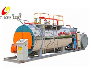 Natural Gas/LPG/Biogas Fired Boiler