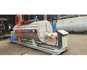 Henan Taiguo 350kw hot water boiler was exported to the Philippines for use in feed plants