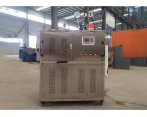 Export food-grade electric heating steam generator, stainless steel inner body material