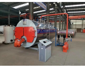 What are the advantages and disadvantages of fire tube boilers and water tube boilers?