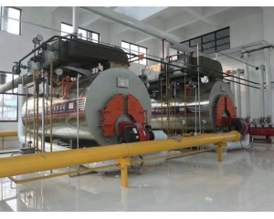 metal industry low nox steam boiler use customer factory