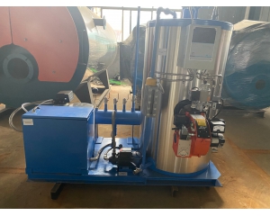 Skid-mounted fuel gas 100 kg steam generator for export