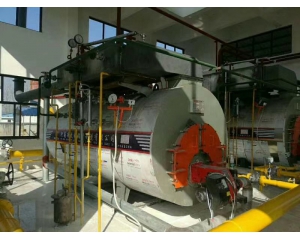 6-ton low-nitrogen steam boiler for a medical product factory in Puyang
