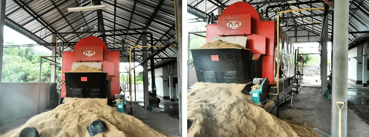 DZL chain grate biomass boiler